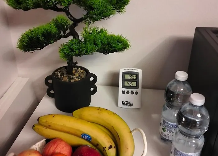 Roero House * Canove